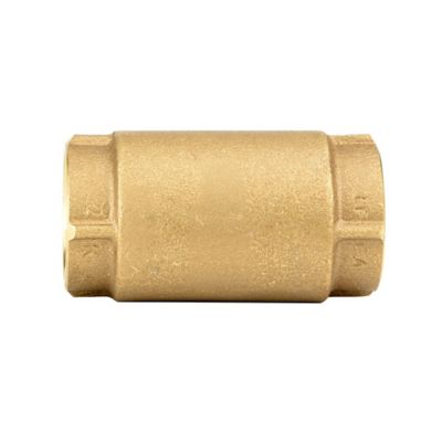 Image showing 6 th Water Source Brass Check Valve, 1 in.