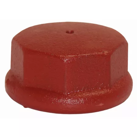 Water Source Well Point Drive Cap 2 in. Pump Parts & Accessories