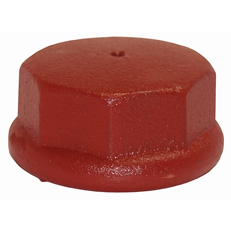 Water Source Well Point Drive Cap, 2 in.