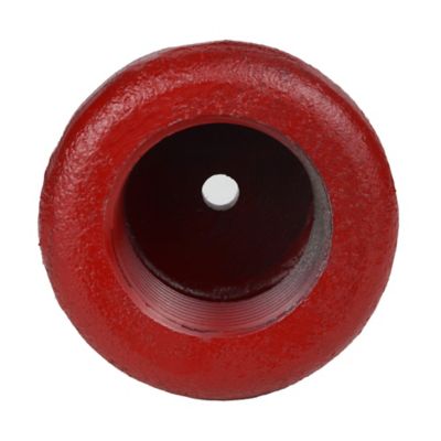 Image showing  Well Point Drive Cap, 2 in.