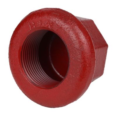 Image showing  Well Point Drive Cap, 2 in.