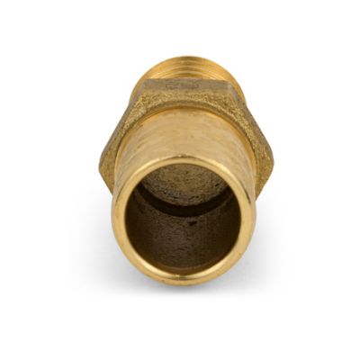 Image showing  Brass Insert Coupling, 1 in.