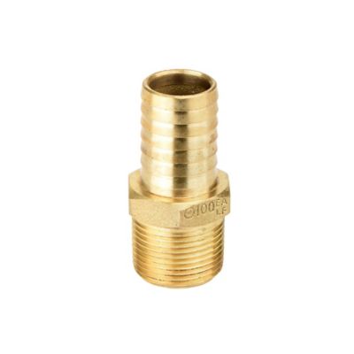 Water Source Brass Male Insert Adapter, 1 in.