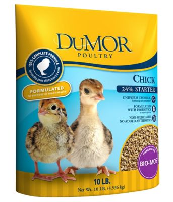 DuMOR Chick Starter 24% Feed, 10 lb., 1000237