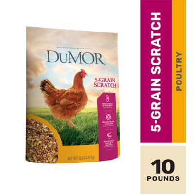 DuMOR 5-Grain Scratch Poultry Feed Supplement, 10 lb.