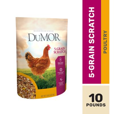 DuMOR 5-Grain Scratch Poultry Feed Supplement, 10 lb.