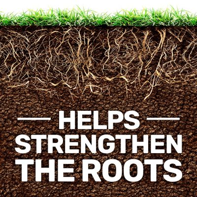 Image showing  50 lb. 15,000 sq. ft. 18-24-6 Starter Fertilizer