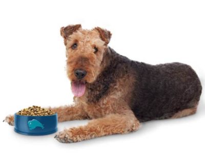 Image showing  Recipe Small Breed Adult Chicken Recipe Wet Dog Food, 5.5 oz.