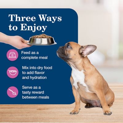 Image showing 6 th Blue Buffalo Homestyle Adult Small Breed Chicken Recipe Wet Dog Food, 5.5 oz.