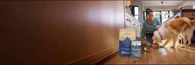 Image showing  Blue's Stew Adult Natural Grain-Free Hearty Beef Stew Recipe Wet Dog Food, 12.5 oz.