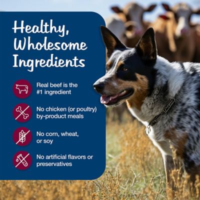 Image showing 5 th Blue Buffalo Blue's Stew Adult Natural Grain-Free Hearty Beef Stew Recipe Wet Dog Food, 12.5 oz.