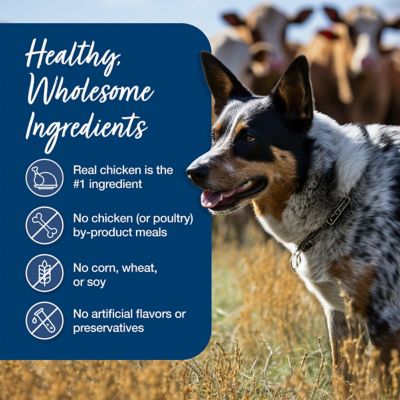 Image showing 5 th Blue Buffalo Blue's Stew Natural Wet Dog Food, Made with Natural Ingredients, Country Chicken Stew, 12.5-oz. Can