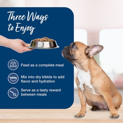 Image showing 6 th Blue Buffalo Blue's Stew Natural Wet Dog Food, Made with Natural Ingredients, Country Chicken Stew, 12.5-oz. Can