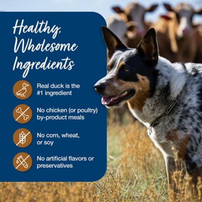 Image showing 5 th Blue Buffalo Blue's Stew Natural Wet Dog Food, Made with Natural Ingredients, Hunter's Stew, 12.5-oz. Can
