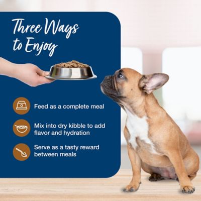 Image showing 6 th Blue Buffalo Blue's Stew Natural Wet Dog Food, Made with Natural Ingredients, Hunter's Stew, 12.5-oz. Can