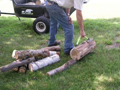 Image showing  16 in. Timber Claw