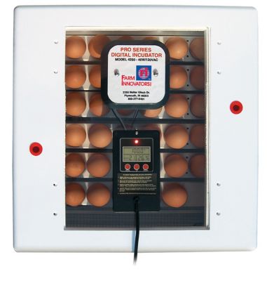 Image showing  41-Egg Capacity Pro Series Circulated Air Incubator with Automatic Egg Turner