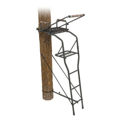 image of a Ladder Tree Stands