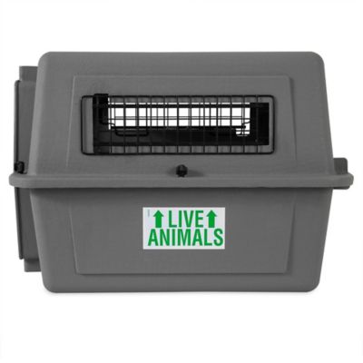 Image showing  Sky Kennel, Small