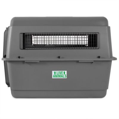 Image showing  Sky Kennel Pet Travel Carrier, Medium