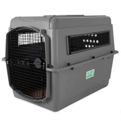 Image showing  Sky Kennel Pet Travel Carrier, Medium