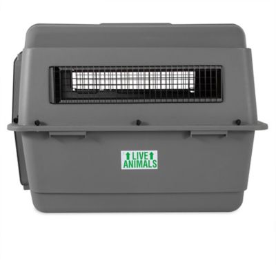 Image showing  Sky Kennel Pet Travel Carrier, Large