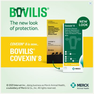 Image showing  Covexin 8 Vaccine for Cattle and Sheep