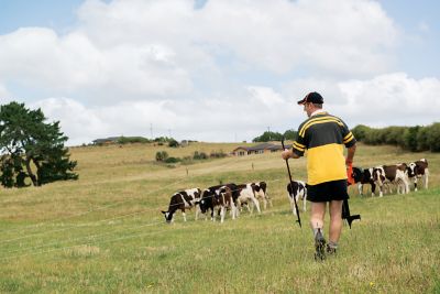 Image showing  36-1/2 in. x 328 ft. SmartFence Electric Fencing, 16 lb., Compatible with Energizers