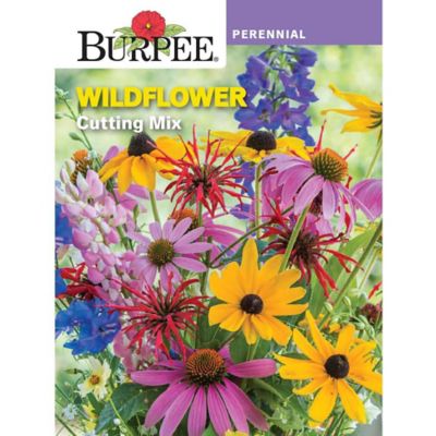 Wildflowers Cutting Mix