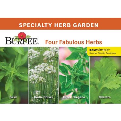 Burpee Ss Four Fabulous Herbs