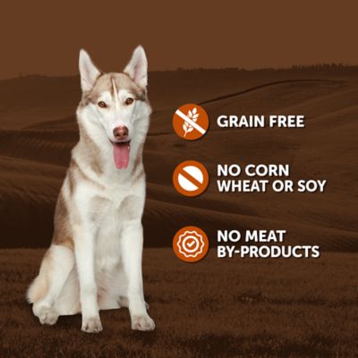 Image showing  Adult Turkey and Sweet Potato Stew Wet Dog Food, 13.2 oz.