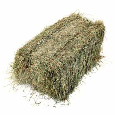 2-String Alfalfa/Grass Mix Hay Bale