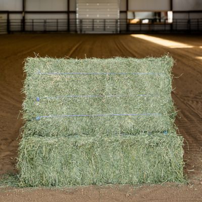 3-String Alfalfa Hay Bale