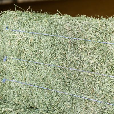 Image showing 3-String Alfalfa Hay Bale