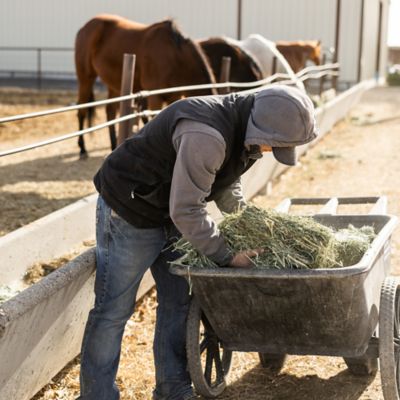Image showing 3-String Alfalfa Hay Bale