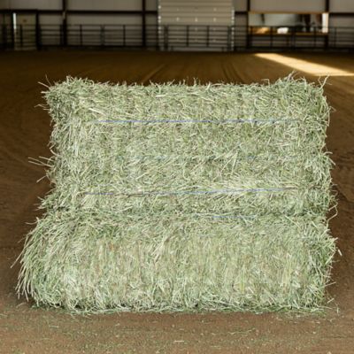 3-String Premium Timothy Grass Compressed Hay Bale