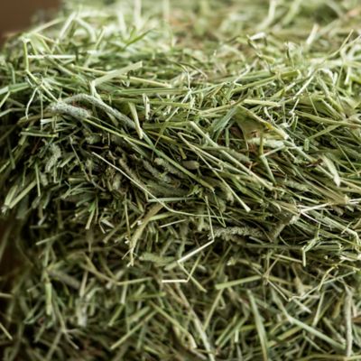 Image showing 3-String Premium Timothy Grass Compressed Hay Bale