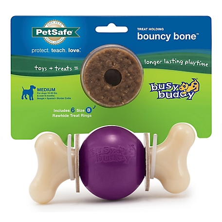 PetSafe Busy Buddy Bouncy Bone Dog Chew Toy, Medium