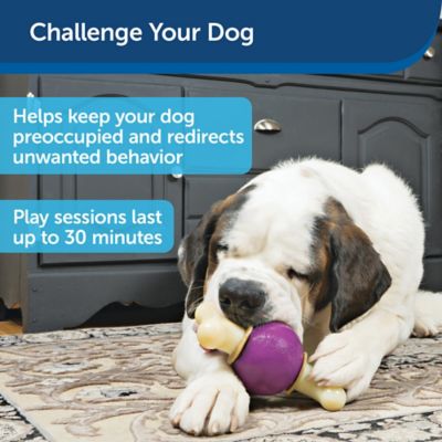 Image showing  Busy Buddy Bouncy Bone Dog Chew Toy, Medium