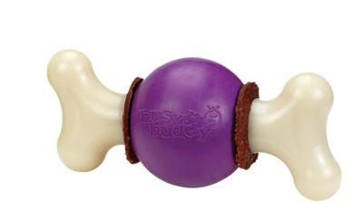 PetSafe Busy Buddy Bouncy Bone Dog Chew Toy, Medium/Large
