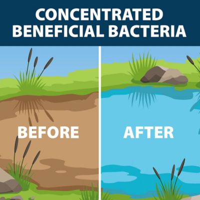 Image showing  MuckAway The Original Muck Reducer, 8 Scoops, 4 lb.