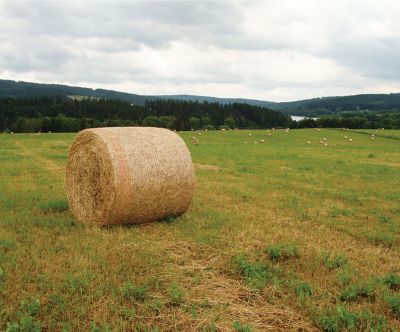 Image showing  51 in. x 9,840 ft. Bale Net Wrap