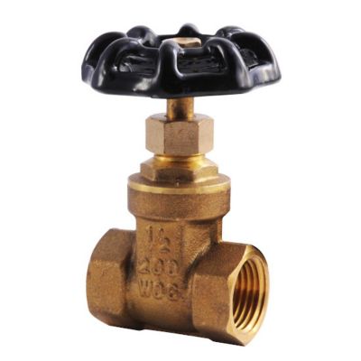 Image showing  1/2 in. I.P.S. Heavy-Duty Gate Valve, Low Lead