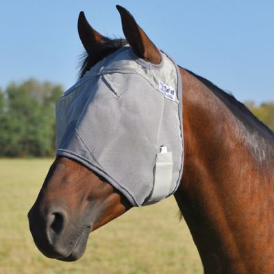 Image showing  Crusader Horse Fly Mask without Ears