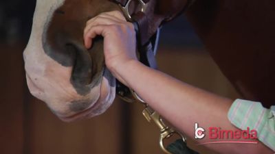 Image showing  Ivermectin 1.87% Anthelmintic and Boticide Horse Dewormer Paste, 6.08g