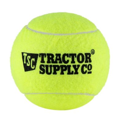 Retriever Jumbo Tennis Ball Dog Toy, 4 in.