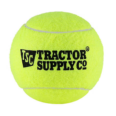 5 Tennis Balls Sports Tournament Outdoor Fun Cricket Dog Yellow Leisure Training 
