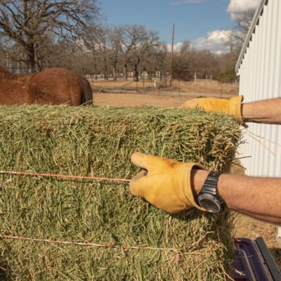 Image showing 2-String Alfalfa