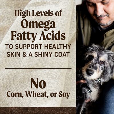 Image showing 9 th Merrick Premium Grain Free Dry Adult Dog Food, Wholesome And Natural Kibble With Beef, Bison And Sweet Potato