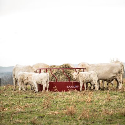 Image showing  8 ft. Titan Bull Hay Feeder